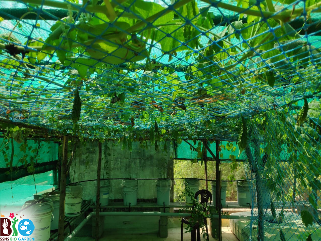Hydroponicaly bio garden in Coimbatore